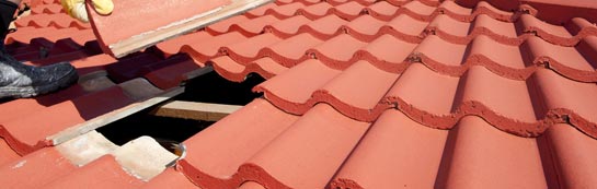 compare Tanerdy roof repair quotes