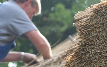 professional Tanerdy thatchers