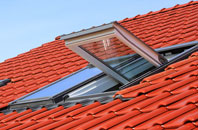 Tanerdy roof window