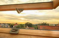 rated Tanerdy roof window companies
